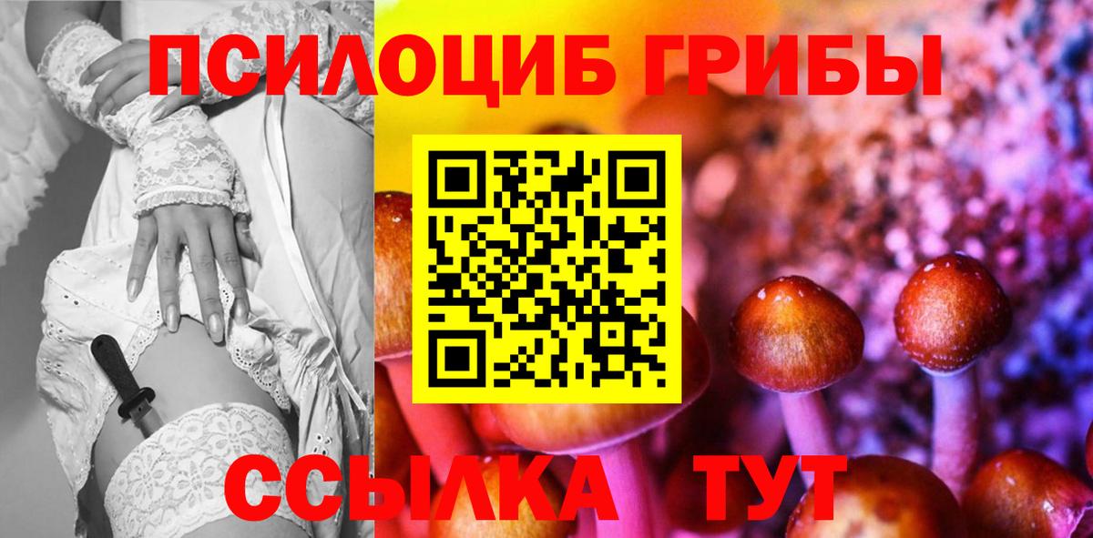 Бердск  Галлюциногенные грибы Psilocybine cubensis  Псилоцибиновые грибы GOLDEN TEACHER  Вход с VPN 